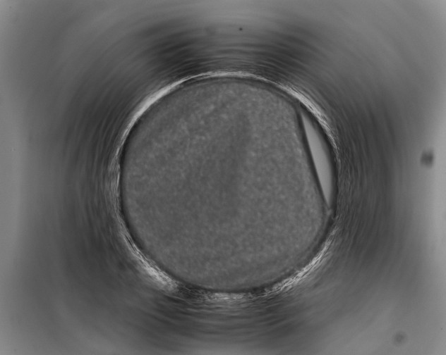 X0000099430933200805301426