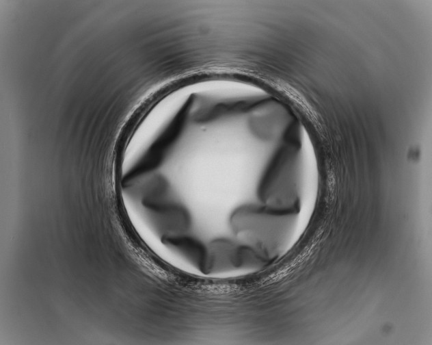 X0000099430934200805301426