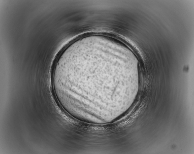 X0000099430935200805301426