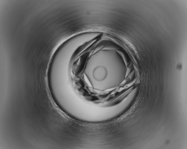 X0000099430936200805301426