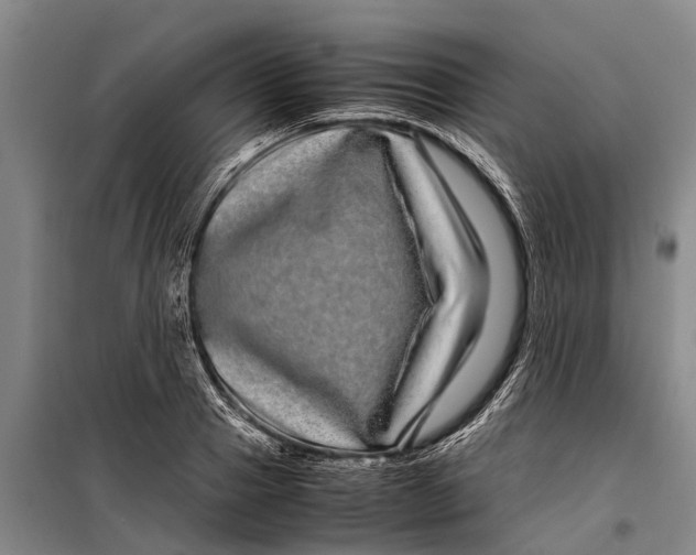 X0000099430937200805301426