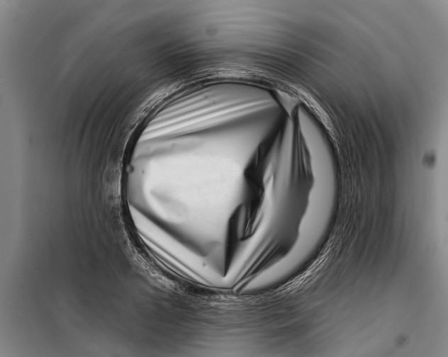 X0000099430938200805301426