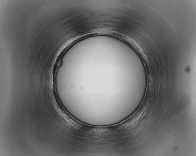 X0000099430939200805301426