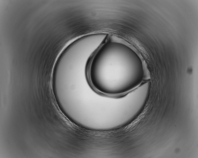 X0000099430940200805301426