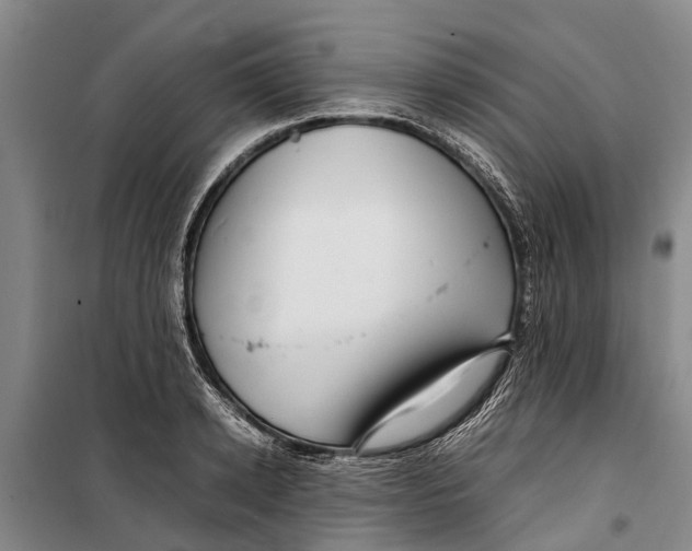 X0000099430942200805301426