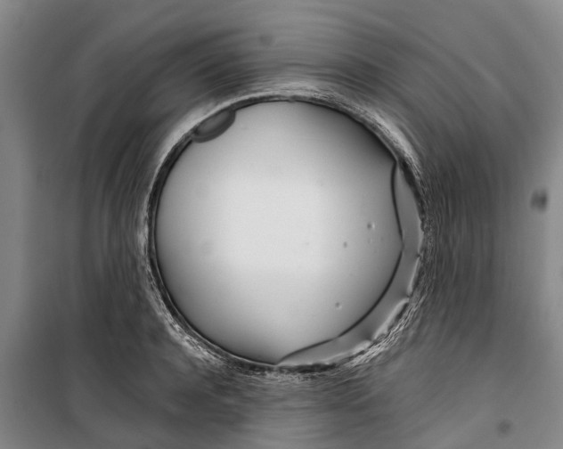 X0000099430944200805301426