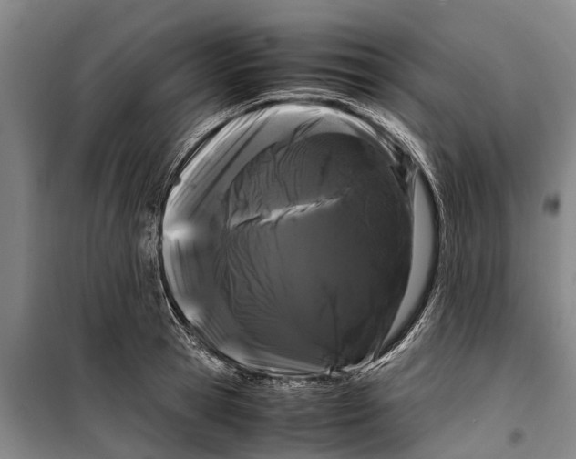 X0000099430945200805301426