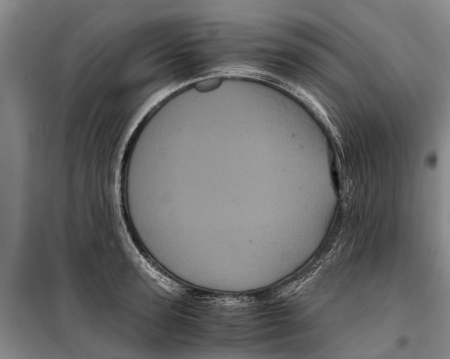 X0000099430947200805301426