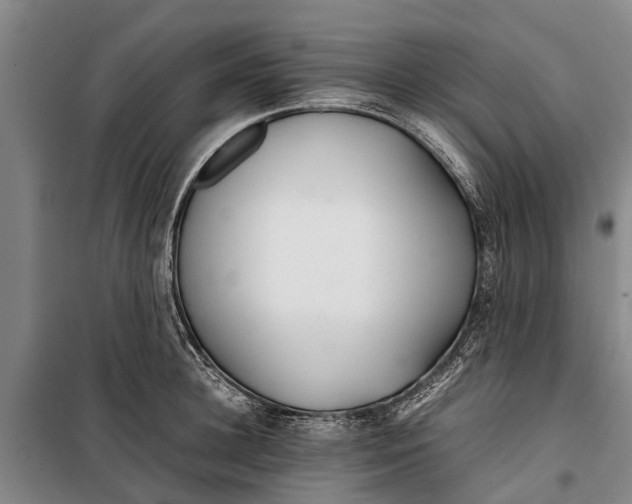 X0000099430948200805301426