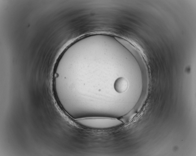 X0000099430949200805301426