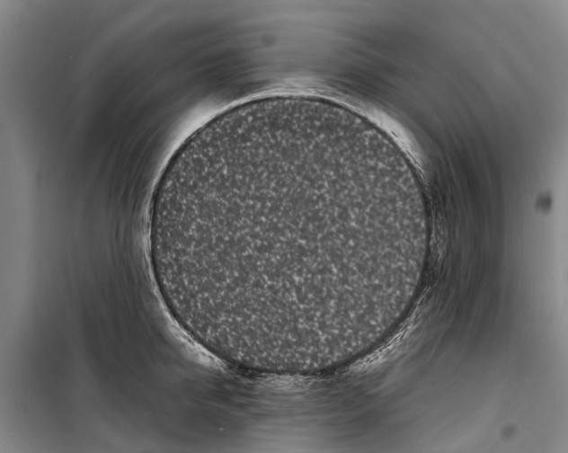 X0000099430950200805301426