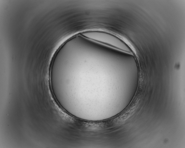 X0000099430951200805301426