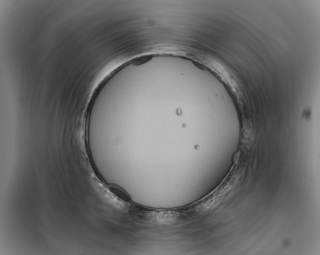 X0000099430952200805301426