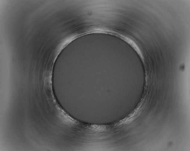 X0000099430954200805301426