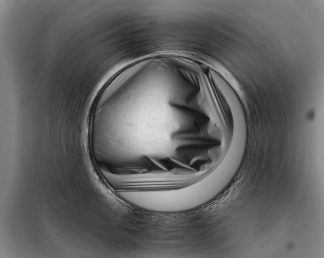 X0000099430955200805301426