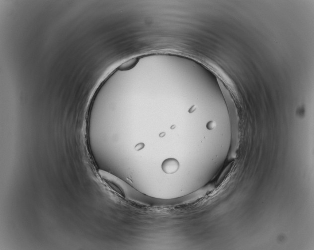 X0000099430956200805301426