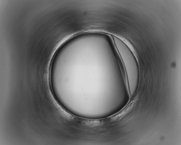 X0000099430957200805301426