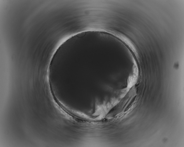 X0000099430958200805301426