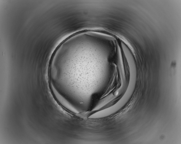 X0000099430959200805301426