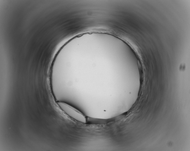 X0000099430960200805301426