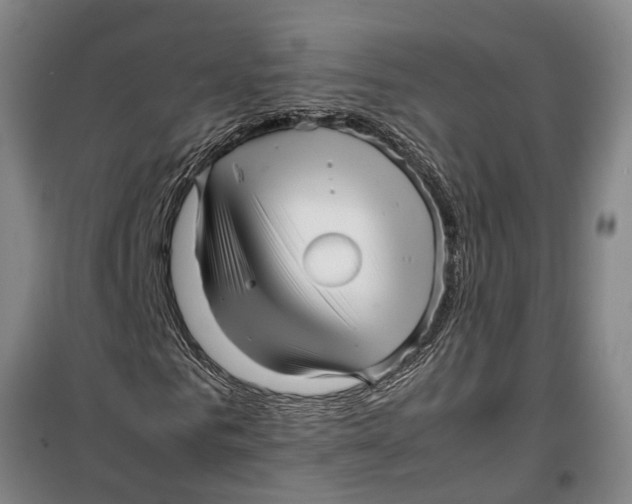 X0000099430961200805301425