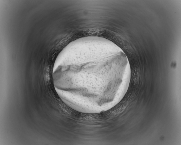 X0000099430962200805301425