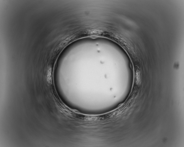 X0000099430963200805301425