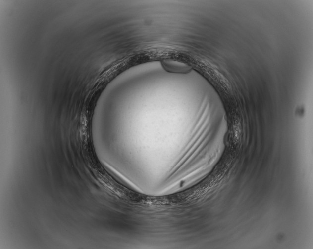 X0000099430964200805301425