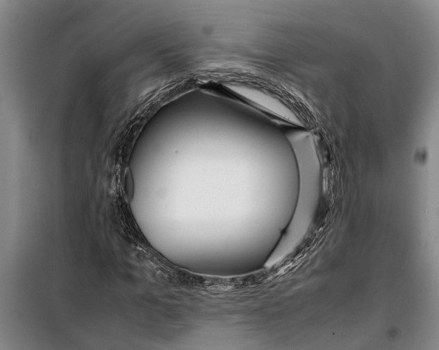 X0000099430965200805301425