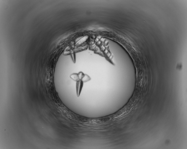 X0000099430966200805301425