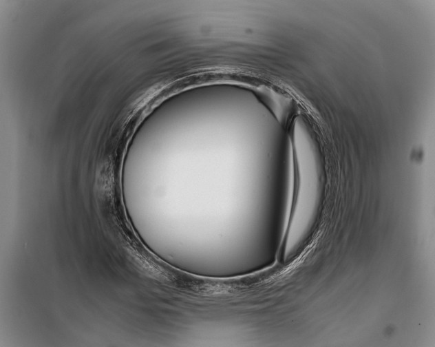 X0000099430969200805301425