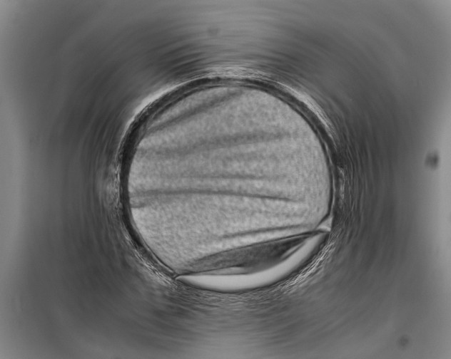 X0000099430971200805301425