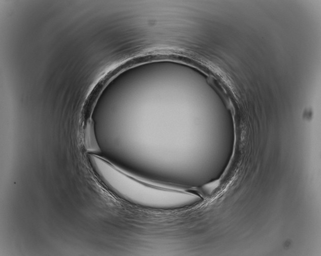 X0000099430973200805301425