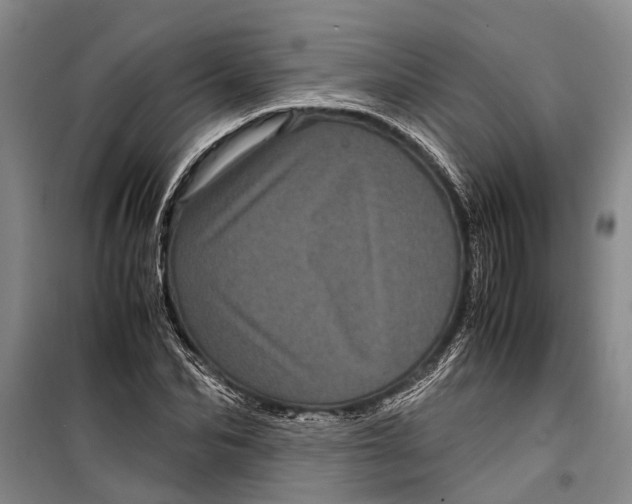 X0000099430974200805301425