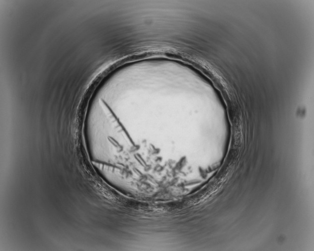 X0000099430975200805301425