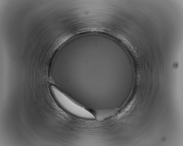 X0000099430977200805301425