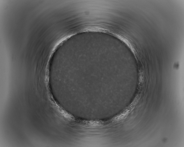 X0000099430979200805301425