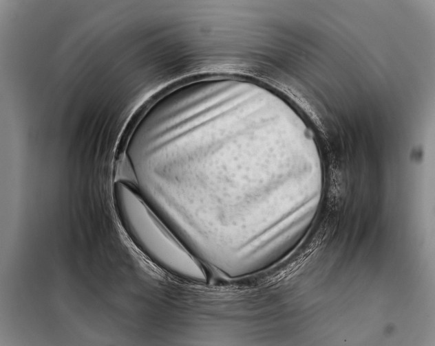 X0000099430980200805301425