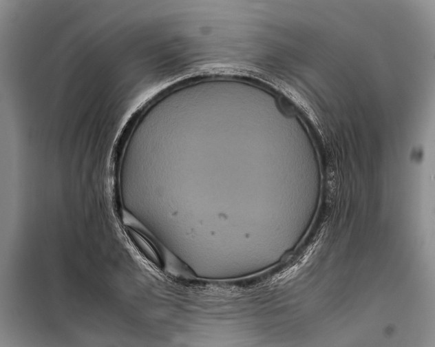 X0000099430981200805301425