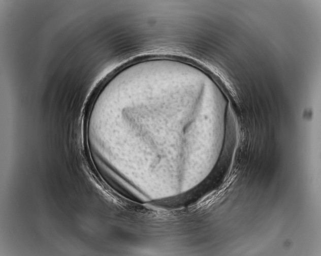 X0000099430982200805301425