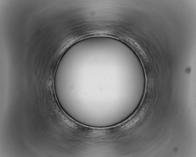 X0000099430985200805301425