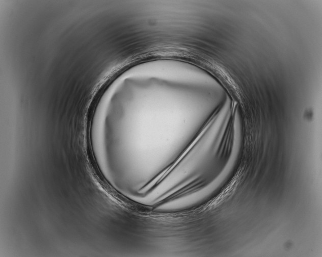 X0000099430986200805301425