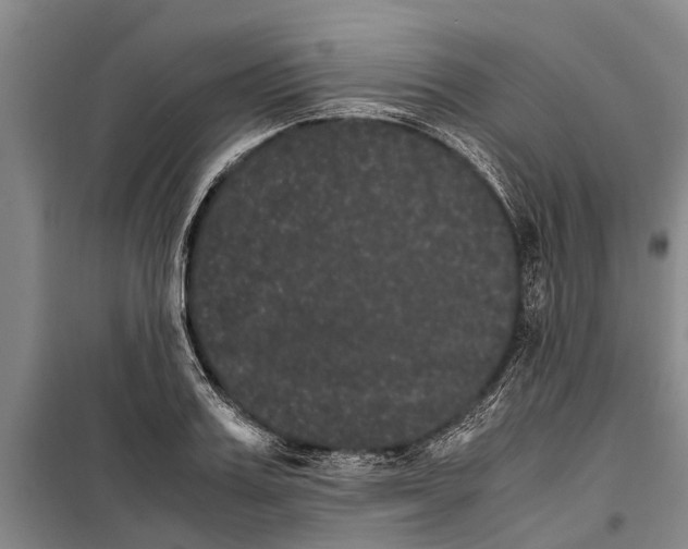 X0000099430987200805301425