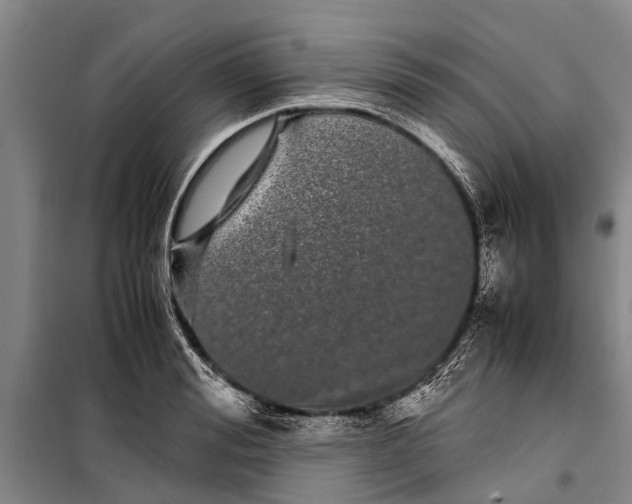 X0000099430988200805301425