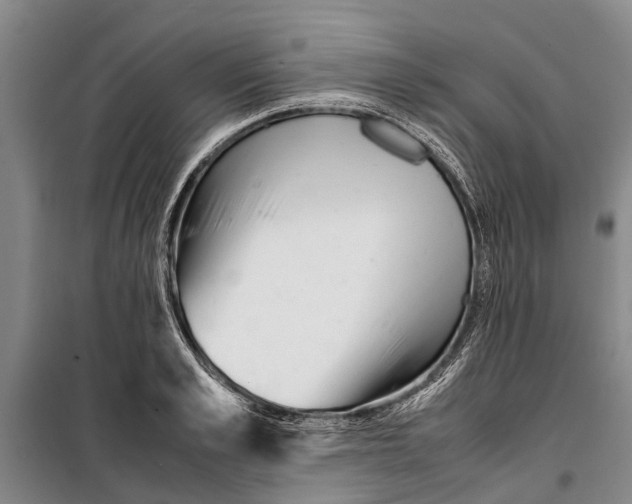 X0000099430989200805301425