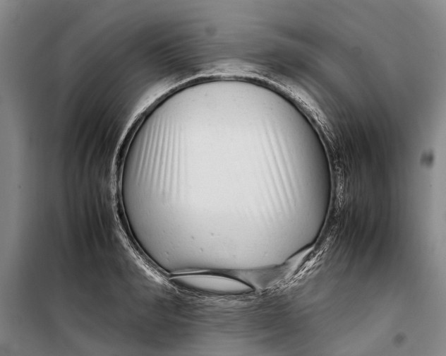 X0000099430990200805301425