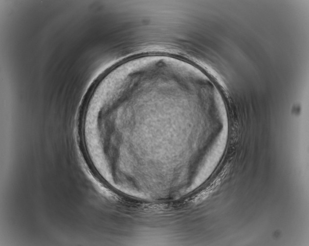 X0000099430991200805301425