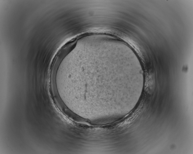 X0000099430992200805301425