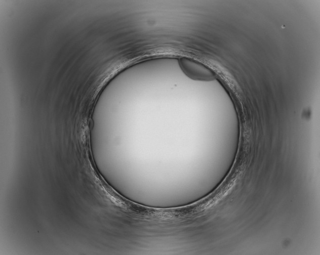 X0000099430993200805301425