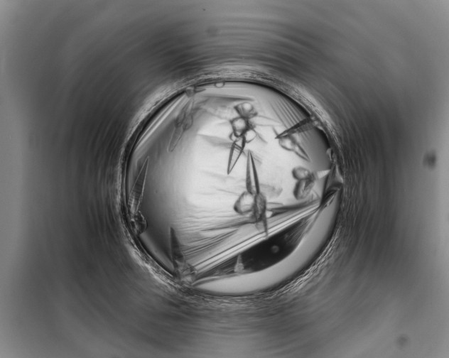 X0000099430994200805301425